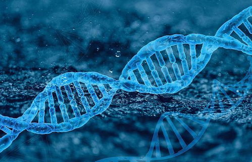 摩珈生物宣布完成b輪融資 淡馬錫領投